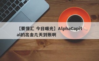 【要懂汇 今日曝光】AlphaCapital的出金几天到账啊
