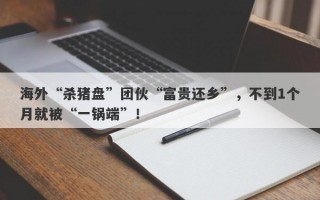 海外“杀猪盘”团伙“富贵还乡”，不到1个月就被“一锅端”！