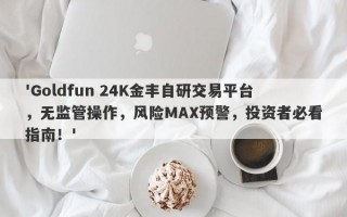 'Goldfun 24K金丰自研交易平台，无监管操作，风险MAX预警，投资者必看指南！'