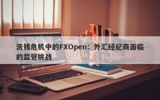 洗钱危机中的FXOpen：外汇经纪商面临的监管挑战