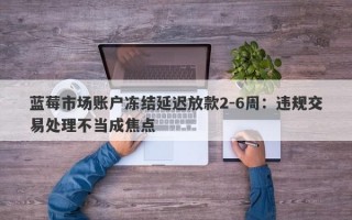 蓝莓市场账户冻结延迟放款2-6周：违规交易处理不当成焦点