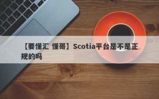 【要懂汇 懂哥】Scotia平台是不是正规的吗
