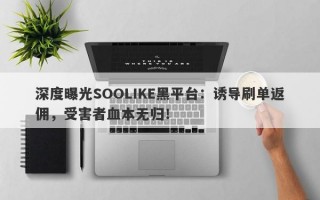 深度曝光SOOLIKE黑平台：诱导刷单返佣，受害者血本无归！