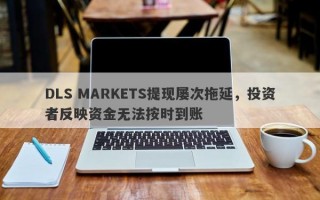 DLS MARKETS提现屡次拖延，投资者反映资金无法按时到账