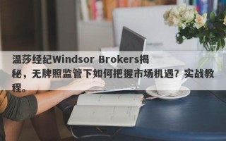 温莎经纪Windsor Brokers揭秘，无牌照监管下如何把握市场机遇？实战教程。