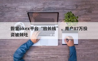 假冒okex平台“放长线”，用户87万投资被倾吐