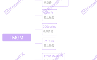 TMGM券商与黑平台的关系！