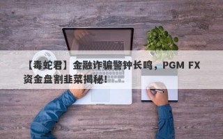 【毒蛇君】金融诈骗警钟长鸣，PGM FX资金盘割韭菜揭秘！