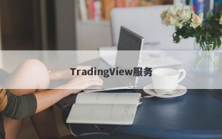 TradingView服务