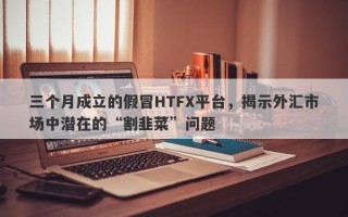 三个月成立的假冒HTFX平台，揭示外汇市场中潜在的“割韭菜”问题