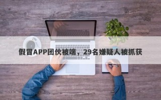 假冒APP团伙被端，29名嫌疑人被抓获