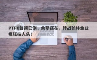 PTFX普顿已倒，余孽还在，转战翰林金业疯狂拉人头！