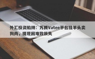 外汇投资陷阱：万腾Vatee平台挂羊头卖狗肉，提现困难致损失