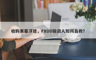 收购黑幕浮现，FXDD投资人如何自救？