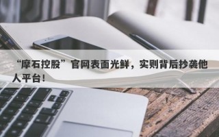 “摩石控股”官网表面光鲜，实则背后抄袭他人平台！