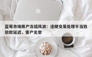 蓝莓市场账户冻结风波：违规交易处理不当致放款延迟，客户无奈