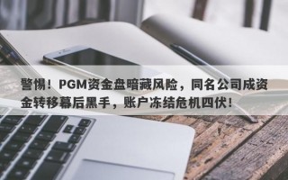 警惕！PGM资金盘暗藏风险，同名公司成资金转移幕后黑手，账户冻结危机四伏！