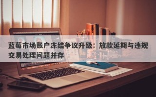 蓝莓市场账户冻结争议升级：放款延期与违规交易处理问题并存