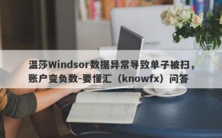 温莎Windsor数据异常导致单子被扫，账户变负数-要懂汇（knowfx）问答