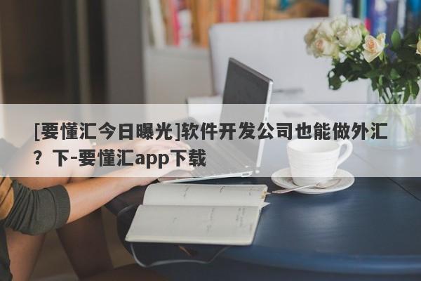 [要懂汇今日曝光]软件开发公司也能做外汇？下-要懂汇app下载-第1张图片-要懂汇圈网