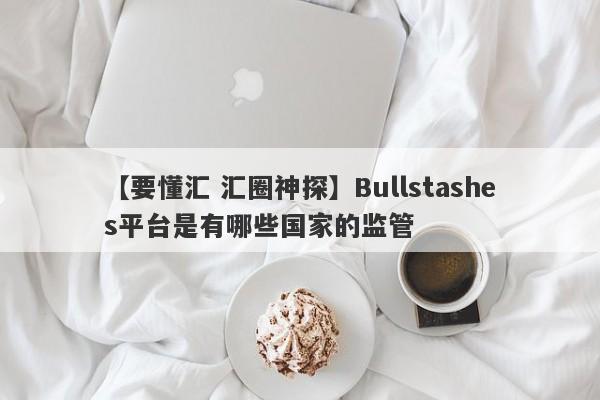 【要懂汇 汇圈神探】Bullstashes平台是有哪些国家的监管
-第1张图片-要懂汇圈网