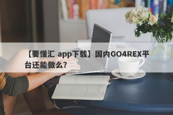 【要懂汇 app下载】国内GO4REX平台还能做么？
-第1张图片-要懂汇圈网