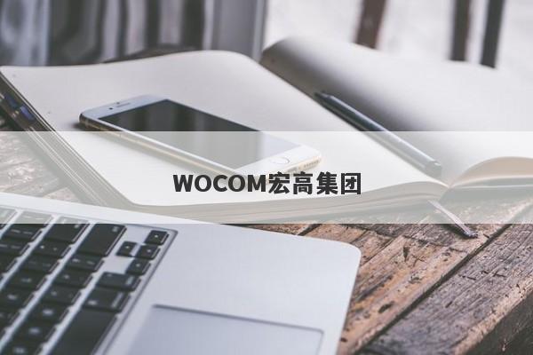 WOCOM宏高集团-第1张图片-要懂汇圈网