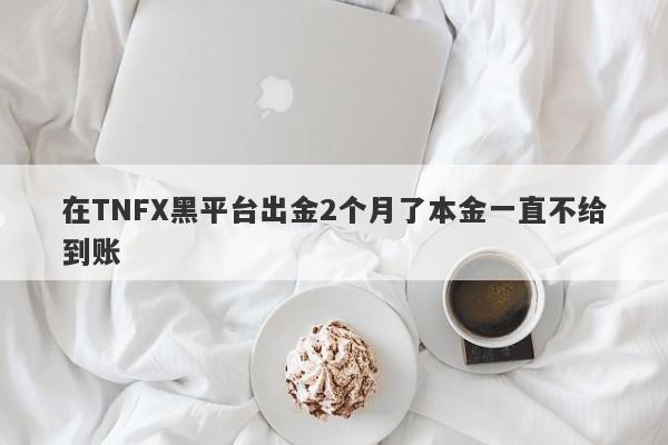 在TNFX黑平台出金2个月了本金一直不给到账-第1张图片-要懂汇圈网