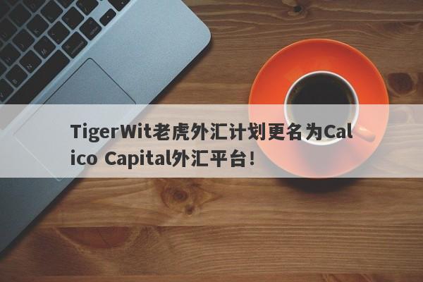 TigerWit老虎外汇计划更名为Calico Capital外汇平台！-第1张图片-要懂汇圈网