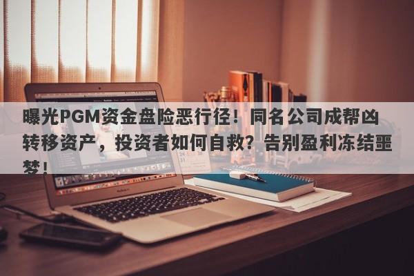 曝光PGM资金盘险恶行径！同名公司成帮凶转移资产，投资者如何自救？告别盈利冻结噩梦！-第1张图片-要懂汇圈网