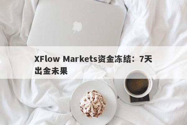 XFlow Markets资金冻结：7天出金未果-第1张图片-要懂汇圈网