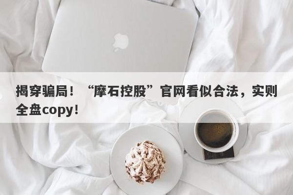 揭穿骗局！“摩石控股”官网看似合法，实则全盘copy！-第1张图片-要懂汇圈网