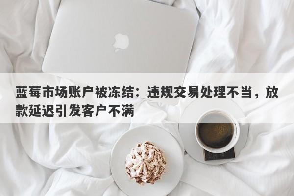 蓝莓市场账户被冻结：违规交易处理不当，放款延迟引发客户不满-第1张图片-要懂汇圈网