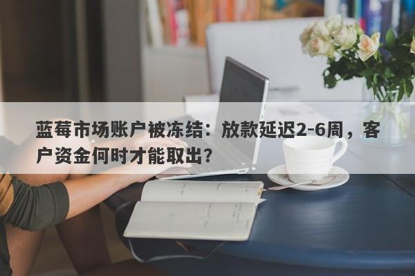 蓝莓市场账户被冻结：放款延迟2-6周，客户资金何时才能取出？-第1张图片-要懂汇圈网